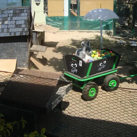 Отель Goldener Hahn Франкфурт/Одер