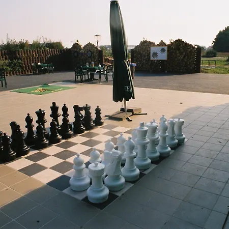 Отель Goldener Hahn