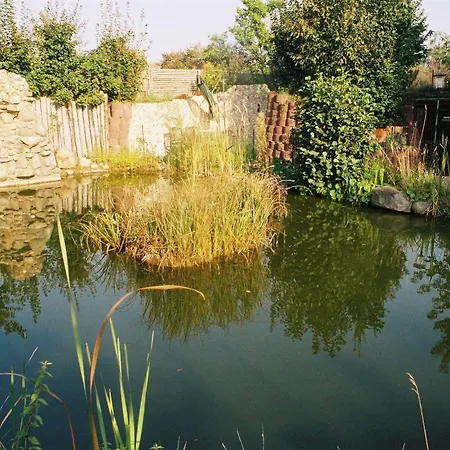 Goldener Hahn מלון