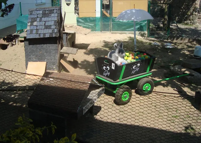 Hotel Goldener Hahn Frankfurt nad Odrą