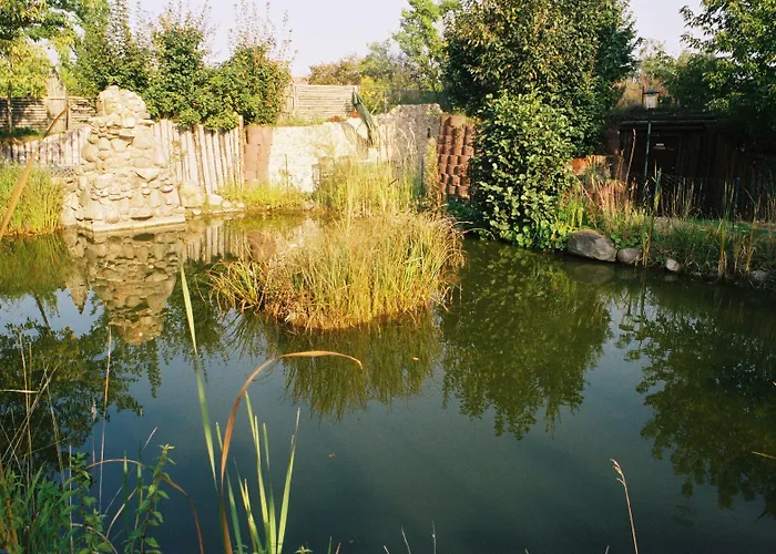 Hotel Goldener Hahn 3*